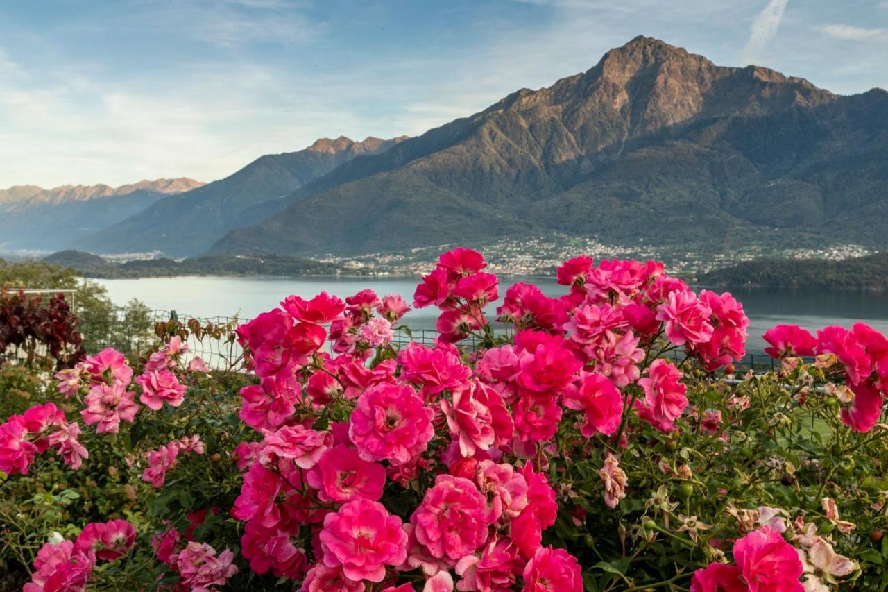 La Collina Degli Ulivi Appartement Vercana Buitenkant foto
