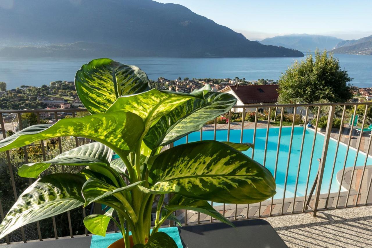 La Collina Degli Ulivi Appartement Vercana Buitenkant foto